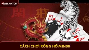 Cách Chơi Rồng Hổ MIN88 - Quy Tắc Đơn Giản Để Thắng Lớn