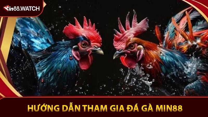 Hướng dẫn tham gia đá gà Min88